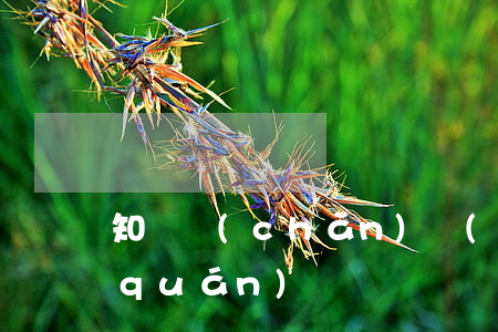 知識產(chǎn)權(quán)維權(quán)難？知識產(chǎn)權(quán)糾紛人民調(diào)解委員會有“良方”